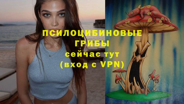 MDMA Аркадак