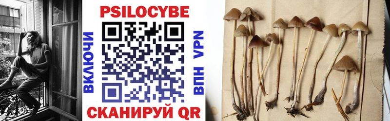 Галлюциногенные грибы MAGIC MUSHROOMS Сухиничи