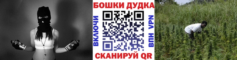 дарнет шоп Сухиничи Канабис гибрид
